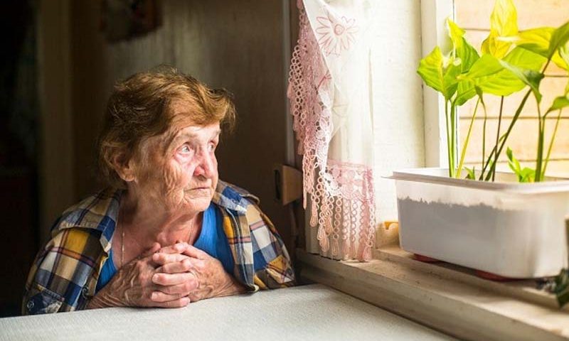 Что лучше для человека преклонного возраста – сиделка или дом престарелых?